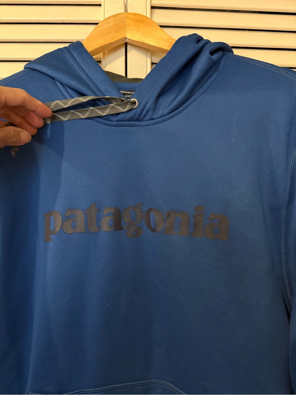 Patagonia Men's Deep Blue Logo Hoodie